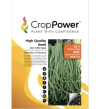 Benih Kacang Panjang LB5 Green Saga Special Long Bean Crop Power - ( 200g )