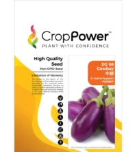Benih Terung EG66 Cowboy F1 Hybrid EggPlant Crop Power - ( 10g )