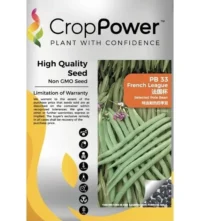Benih Kacang Buncis PB33 French League Selected Pole Bean Crop Power - ( 500g )