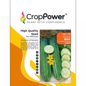 Benih Timun DC171 Cantik F1 Hybrid Cucumber Crop Power - ( 20g / 100g )