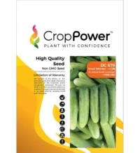 Benih Timun Mini DC676 Small Wonder F1 Hybrid Small Cucumber Crop Power - ( 20g )