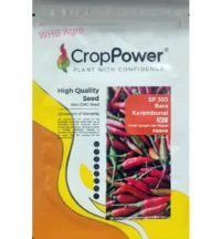 Benih Cili Bara Kampung SP303 Bara Karambunai Small Upright Hot Pepper Crop Power - ( 10g )