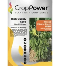 Benih Edamame Jepun EM200 Misono Green Selected Edamame Crop Power - ( 200g )