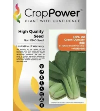 Benih Pak Choy DPC88 Green Dynasty F1 Hybrid Dwarf Pak Choy Crop Power - ( 100g )