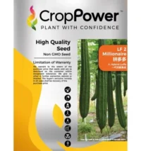 Benih Petola LF 2 Millionaire F1 Hybrid Luffa Crop Power - ( 100g )