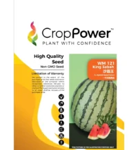 Benih Tembikai Merah WM121 King Sabah F1 Hybrid Watermelon Crop Power - ( 200g )