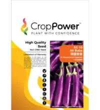 Benih Terung Mini EG10 Ali Baba F1 Hybrid Small EggPlant Crop Power - ( 10g )