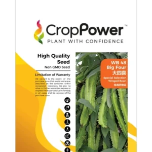 Benih Kacang Botol WB48 Big Four Special Selection Winged Bean Crop Power - ( 200g )