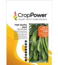 Benih Kacang Botol WB48 Big Four Special Selection Winged Bean Crop Power - ( 500g )