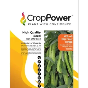 Benih Kacang Botol WB48 Big Four Special Selection Winged Bean Crop Power - ( 500g )