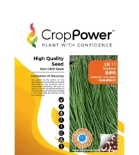 Benih Kacang Panjang LB11 Victory Selected Long Bean Crop Power - ( 200g )