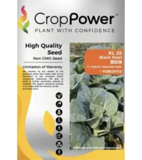 Benih Kale KL28 Black Pearl F1 Hybrid Japanese Kale Crop Power - ( 100g )
