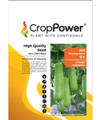 Benih Labu Air 969 Strong Bow F1 Hybrid Bottle Gourd Crop Power - ( 20g )