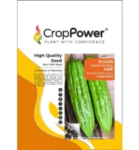 Benih Peria BG5588 Grand Jumbo F1 Hybrid Bitter Gourd Crop Power - ( 100g )