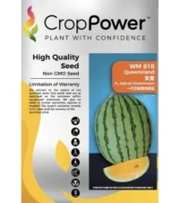 Benih Tembikai Kuning WM818 Queensland F1 Hybrid Watermelon Crop Power - ( 20g )