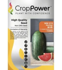 Benih Tembikai Merah WM213 Mantap F1 Hybrid Watermelon Crop Power - ( 20g )