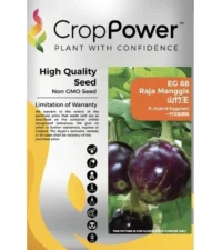 Benih Terung Bulat EG88 Raja Manggis F1 Hybrid EggPlant Crop Power - ( 10g )