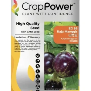 Benih Terung Bulat EG88 Raja Manggis F1 Hybrid EggPlant Crop Power - ( 10g )
