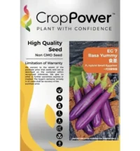 Benih Terung Mini EG7 Rasa Yummy F1 Hybrid Small EggPlant Crop Power - ( 10g )
