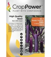 Benih Terung Panjang EG1 Purple Treasure F1 Hybrid EggPlant Crop Power - ( 10g )