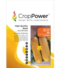 Benih Timun Tua OC575 Gold Bar F1 Hybrid Old Cucumber Crop Power - (  1000 seeds )